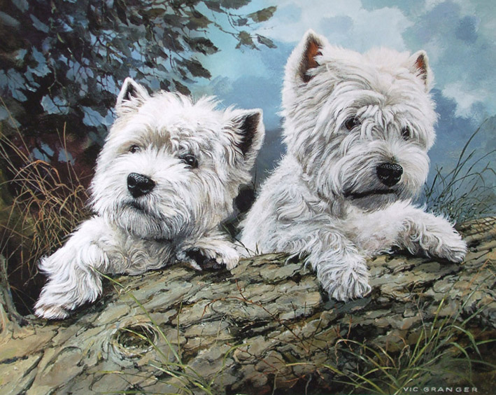 http://www.ascotgallery.com/Images/Granger/Granger%20-%20Westies%20L.jpg